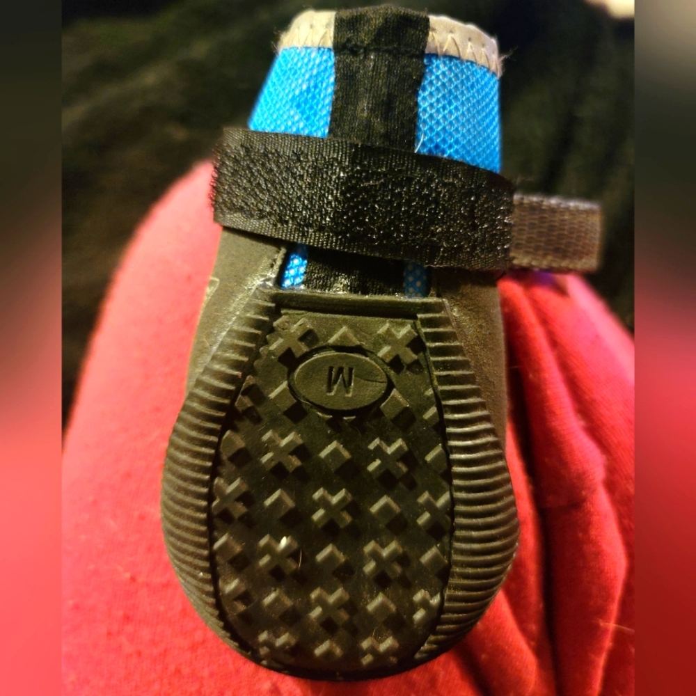 Arcadia trail dog boots, size medium! - Picture 2 of 5
